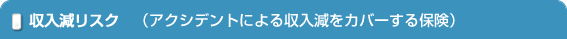 収入減リスク　（アクシデントによる収入減をカバーする保険）