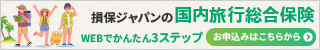 損保ジャパンの国内旅行保険