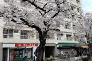 自由ケ丘３ (2)
